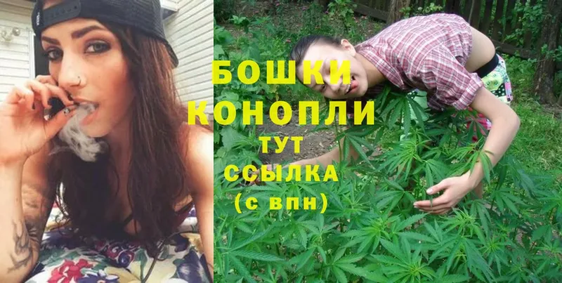 Конопля OG Kush  ссылка на мегу сайт  Шадринск 